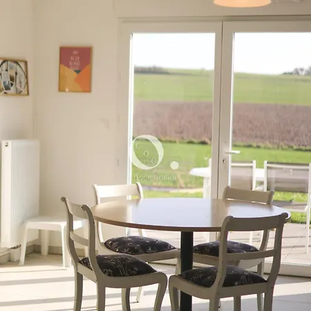 Daire Coc - L'envolee