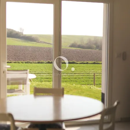 Coc - L'envolee * Wissant